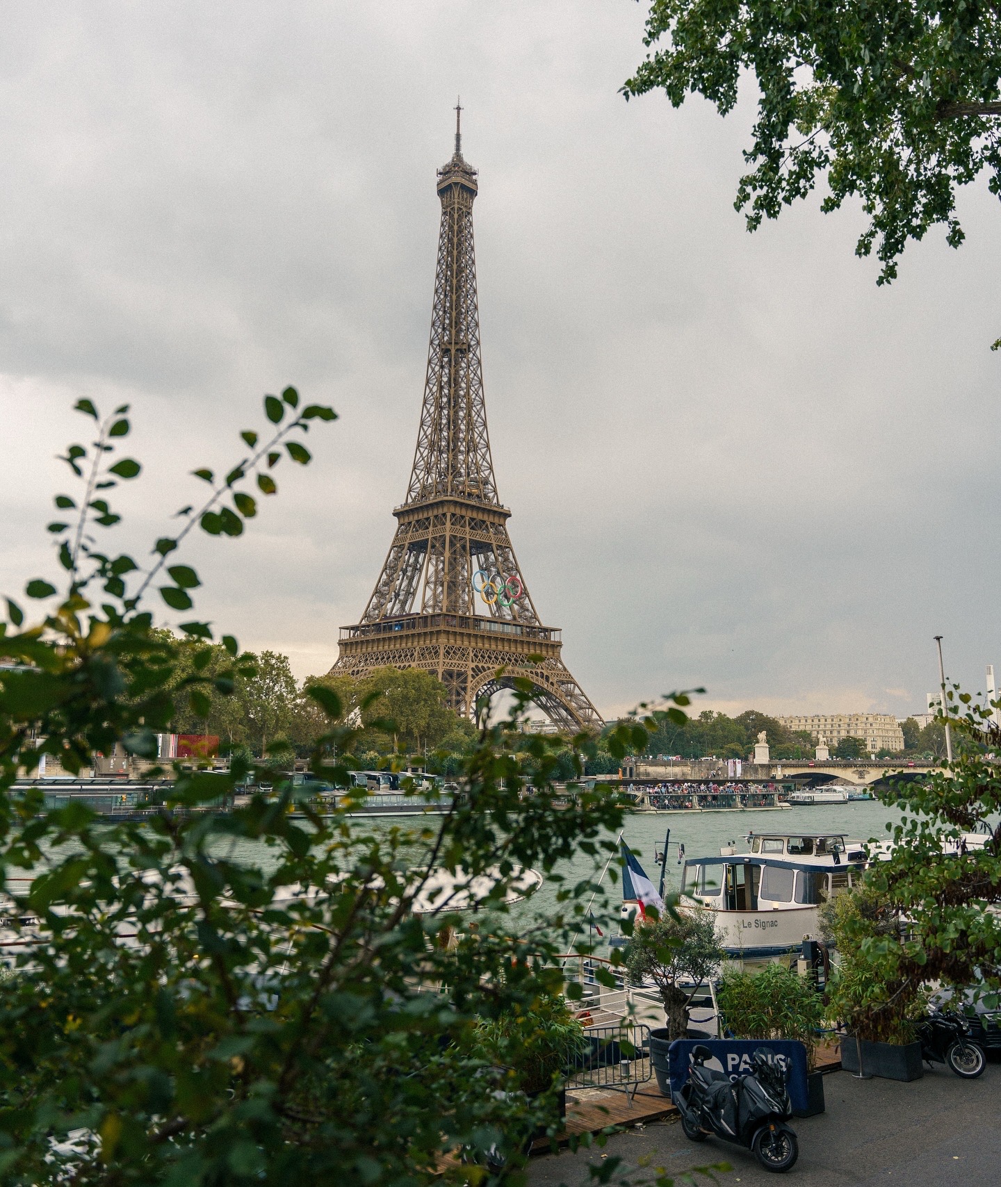 Eiffel Tower with Olympic rings
